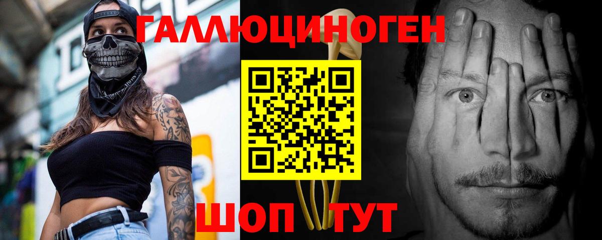 Псилоцибиновые грибы Psilocybine cubensis  Вход с VPN  Канаш 